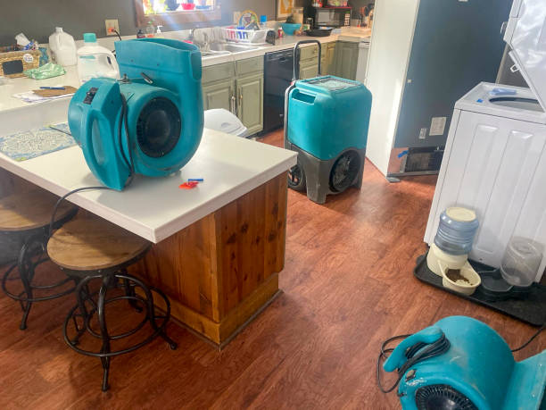 Best Sewage cleanup and water damage restoration  in Foley, AL