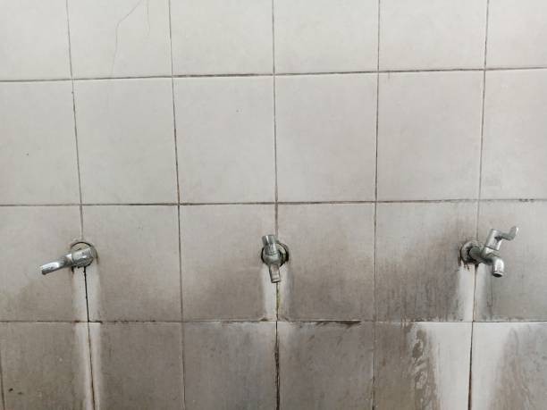 Best 24/7 water damage repair  in Foley, AL