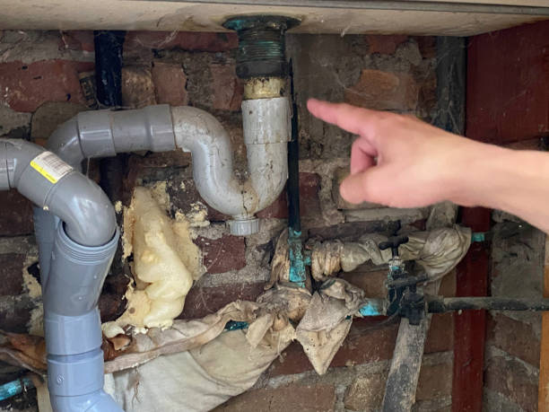 Best 24-hour water damage restoration  in Foley, AL